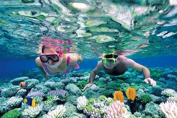 Private Tour Nha Trang - Wonderful Island Discovery