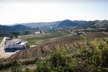 Premium Wine and Gastronomic Tour in The Algarve from Portimao