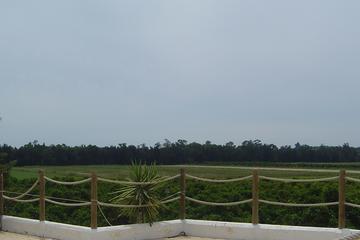 Private Wine Tour from Portimão