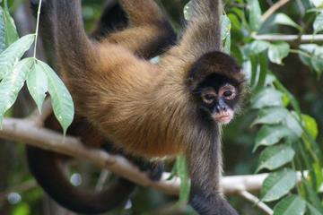 8-Day Wildlife Photography Tour with a Professional Photographer from Cancun