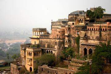 Neemarana Fort Palace, Zip Line at Flying Fox, Camel Cart Ride Private Tour