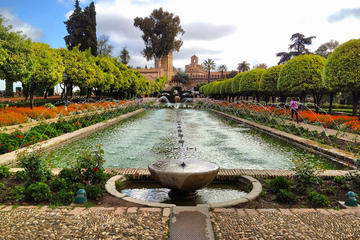 Alcázar Reyes Cristianos evening time: Official Tour