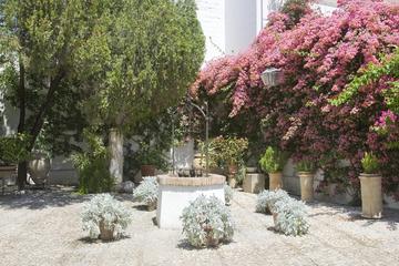 Cordoba: Viana Palace and Courtyards Official Tour