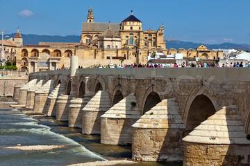 Official Tour of Córdoba 3 hours