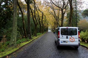 Full-Day Nordeste and Povoação Tour from Ponta Delgada
