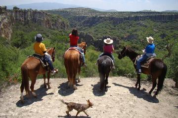 Horseback Riding and Ranch Visit Combo Tour from San Miguel de Allende