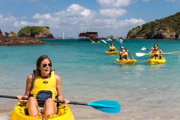 Full-Day Adventure Cruise with Buffet Lunch in Bay of Islands