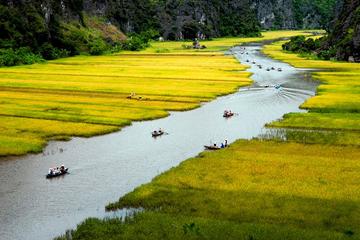Full Day Hoa Lu and Tam Coc Tour from Hanoi Including Lunch