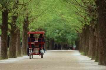Semi-Independent Private Seoraksan and Nami Island Day Trip from Sokcho