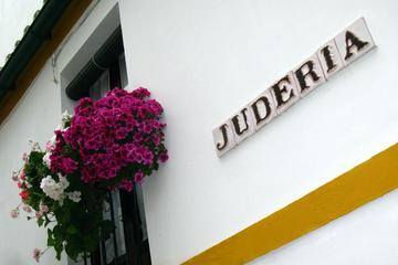 Private Seville Jewish Heritage Tour