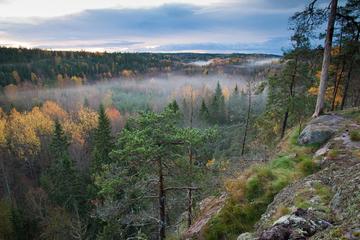 Finnish Lakes and Forests (from Helsinki)