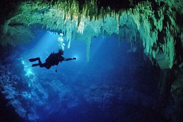 Cenotes 2-Tank Dive in Playa del Carmen
