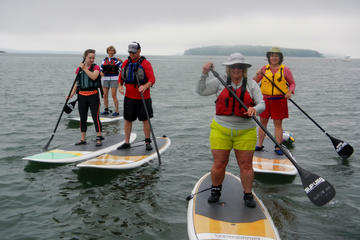 Day Trip Stand Up Paddleboard Tour in Casco Bay near Brunswick, Maine 