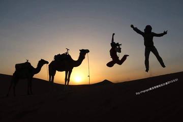 Full day at Zagora autentic desert