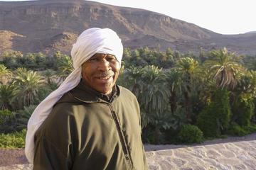 Zagora full day tour and Camel ride