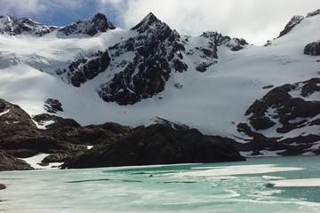 Trekking to Vinciguerra Glaciar and Laguna de los Témpanos - Small Groups!