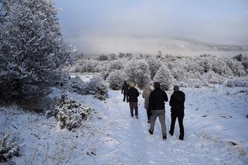 Winter Full Day: National Park plus Beagle Channel Navigation