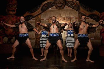 Auckland Shore Excursion: City Highlights & Cultural Performance (Private Tour)