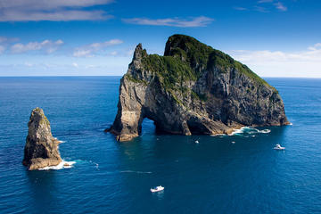 Private Full-Day Bay of Islands Tour From Auckland With 2-Hour Boat Cruise