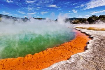 Waiotapu Thermal Wonderland & Hobbiton Movie Set - Excursion from Auckland