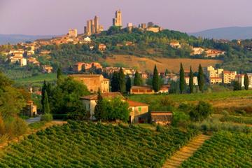 Chianti Wine Tour from Florence