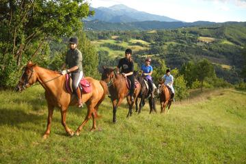 Horseback Riding Private Tour in Sicilian Countryside and Traditional Lunch at Farmhouse on Etna Slope