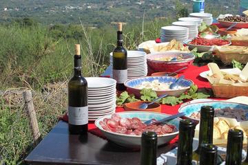 Noto Wineries Private Tour from Syracuse - Best Wineries and Tonnara Visit in Marzamemi