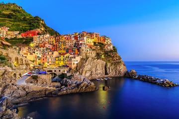 Small Group Tour: Cinque Terre with the leaning tower of Pisa