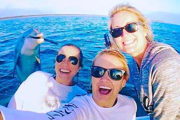 Snorkling tour at Red sea in Ein El Sokhna