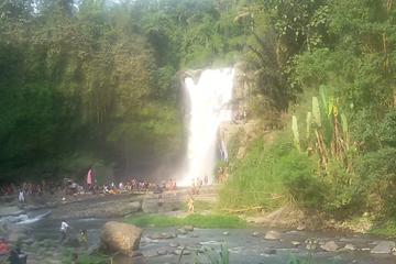 Private Tour: Ubud Nature Day Trip Including Monkey Forest and Balinese Dance