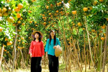 My Tho and Ben Tre Day Trip from Ho Chi Minh City
