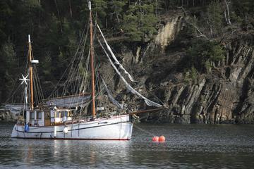 3-Hour Norwegian Evening Cruise Aboard a Wooden Sailing Boat on the Oslo Fjord