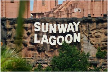 Sunway Lagoon Admission with Round-Trip Private Transfer