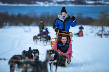 Drive a Husky Sled in Tromso