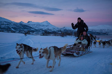 Evening Husky Sled Ride in Tromso