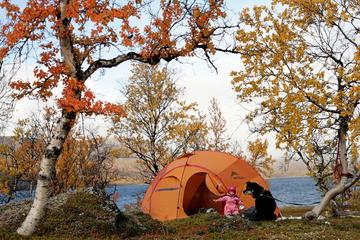 Family Arctic Hiking Fun in Tromso