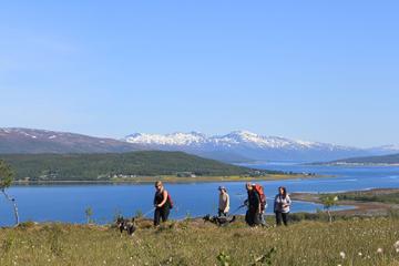 Hiking With Huskies from Tromso