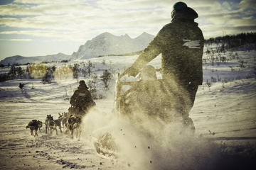 Husky Sledding Ride Including Campfire Lunch from Tromso