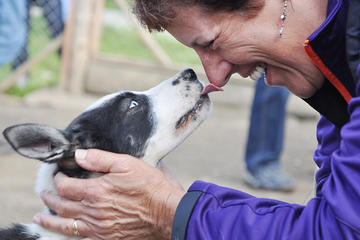 Visit a Husky Home in Tromso