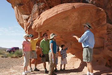 Excursión al Valle de Fuego con Luxury Tour Trekker