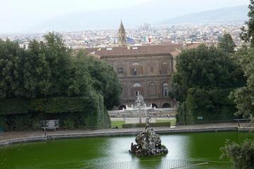 Pitti Palace and Boboli Gardens Private Tour