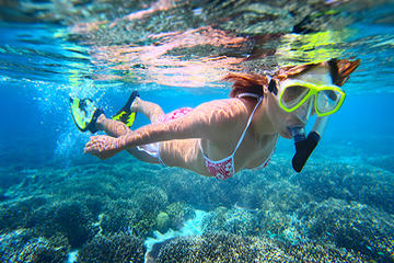 Florida Keys Snorkeling Tour