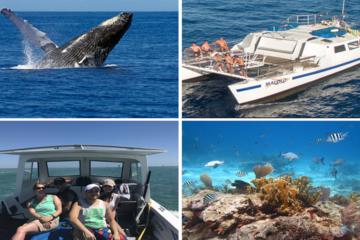 Hawaii Adventure Pass