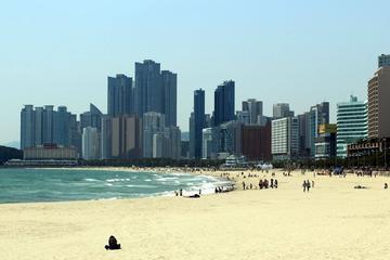 Private Busan Private Tour with Mipo Boat Cruise