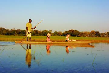 Highlights of Botswana Safari