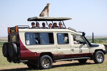 Highlights of Kenya Safari