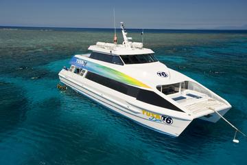 Great Barrier Reef Eco Snorkel and Dive Cruise from Cairns Including Lunch