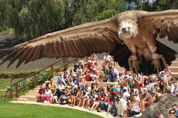 Rancho Texas Entrance Ticket in Lanzarote Including Complimentary Bus Service