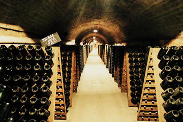 Wine Day Trip from Paris to Champagne