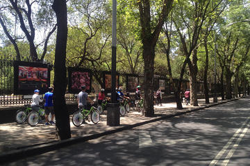 Mexico City Bike and Cultural Tour Including Government Palace